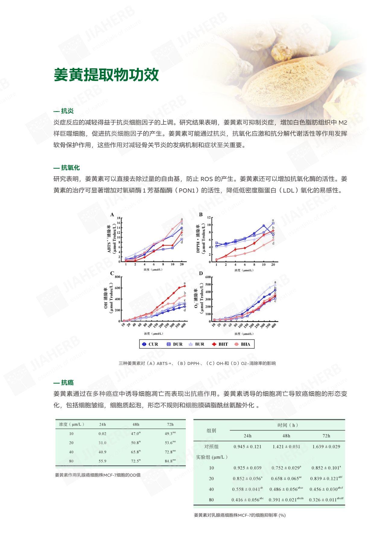 5 姜黄-中文2.jpg