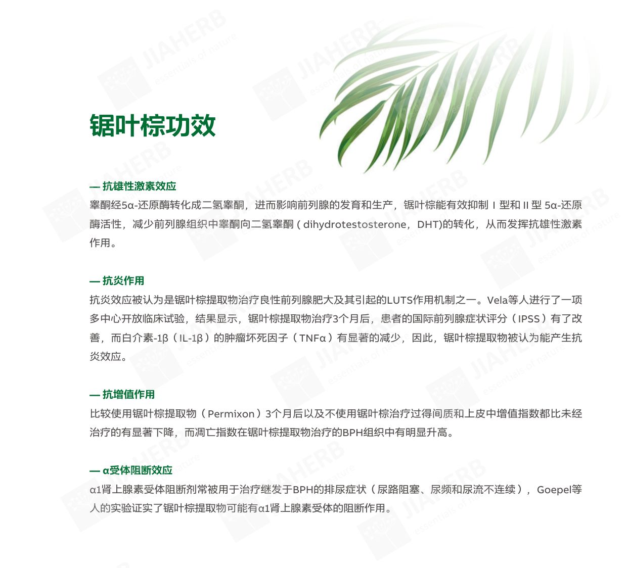 3 锯叶棕-中文2.jpg