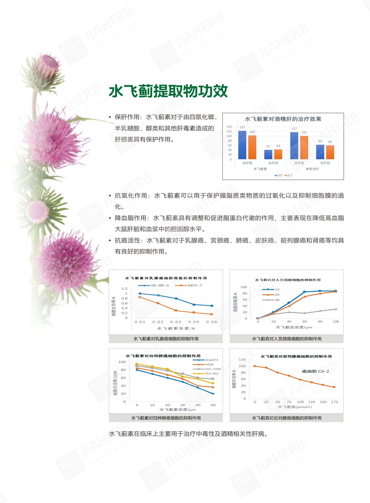 1 水飞蓟-中文2.jpg