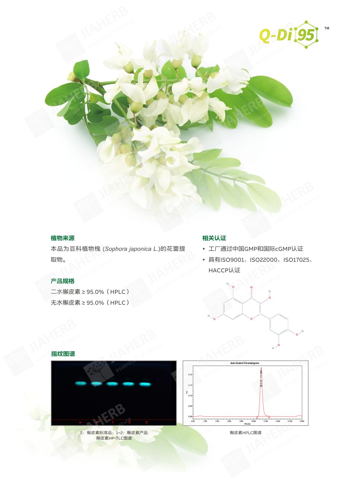 2 槲皮素-中文1.jpg