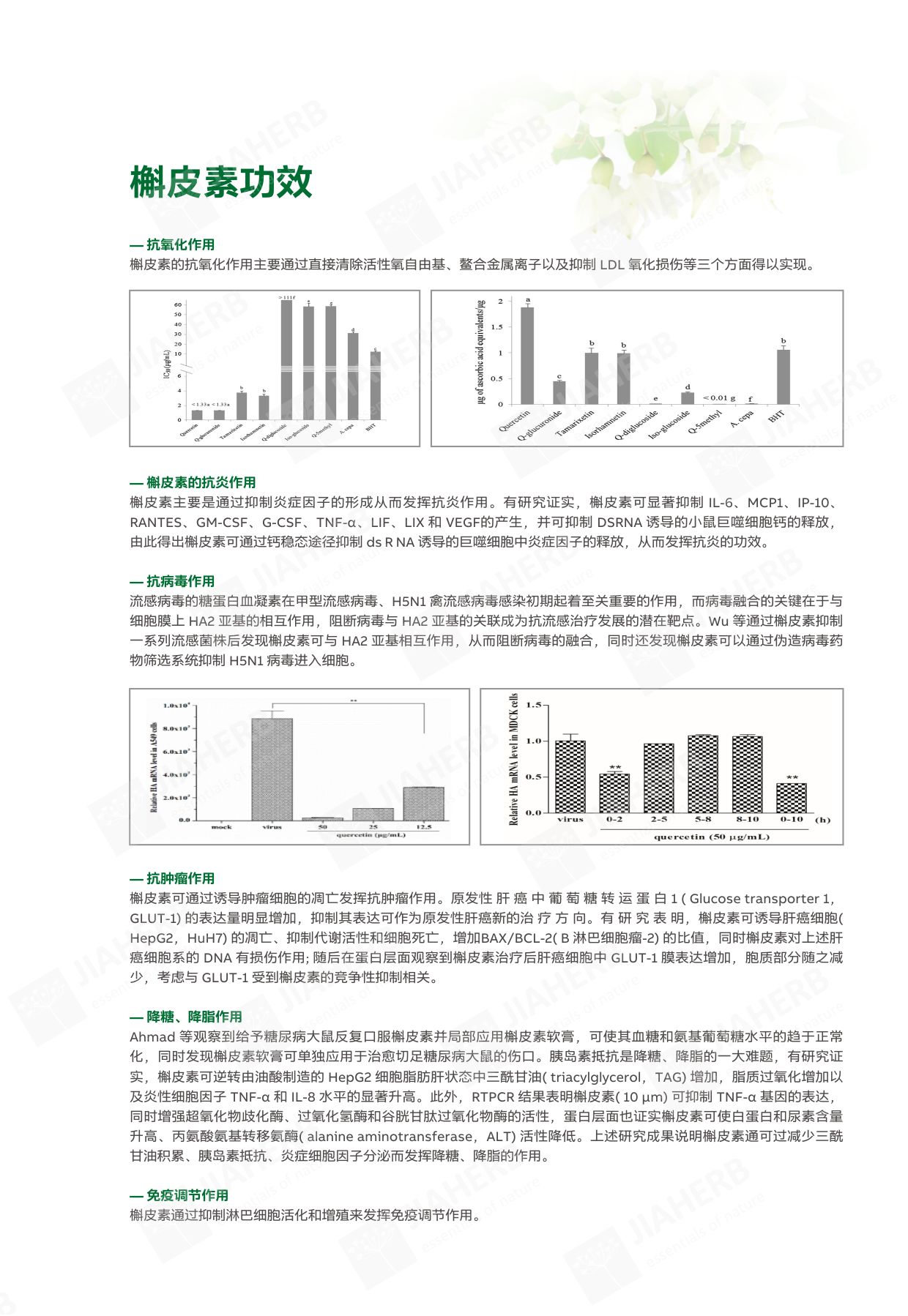 2 槲皮素-中文2.jpg